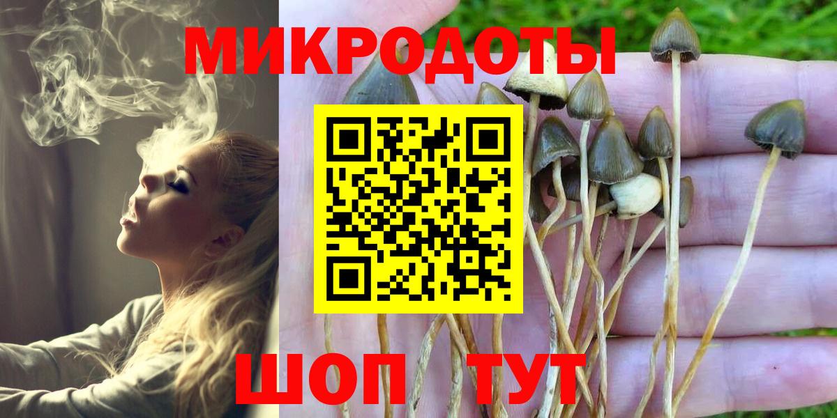 Галлюциногенные грибы мицелий  Вход с VPN  наркошоп  Псилоцибиновые грибы Cubensis  Прокопьевск 